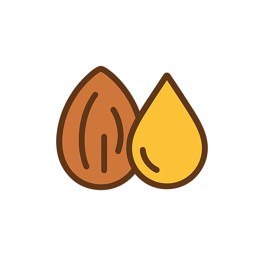 Icon of two almonds on a white background