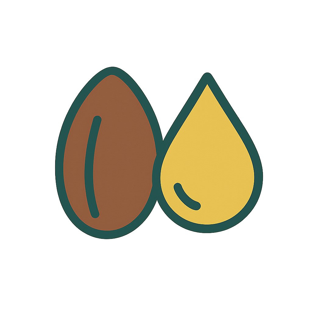 Illustration of a coffee bean and a drop of coffee on a white background