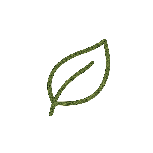 Green leaf icon on a white background